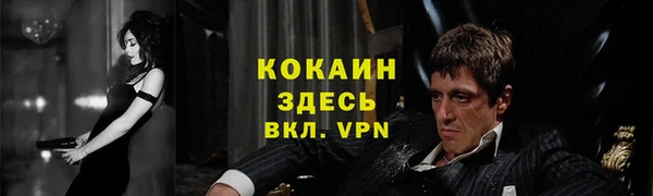 мескалин Заводоуковск