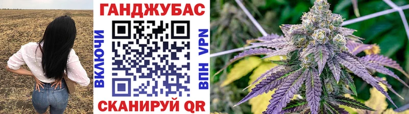 Купить где  Зеленокумск  МАРИХУАНА сатива 